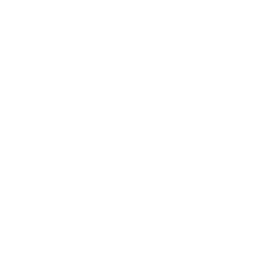 Digital Libraries & Archival Solutions icon