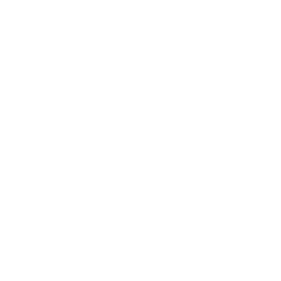 Full Stack Development icon