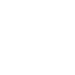 Cloud Architecture & Infrastructure icon