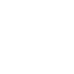 AI & Machine Learning Solutions icon