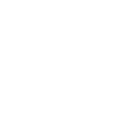 Data Architecture icon